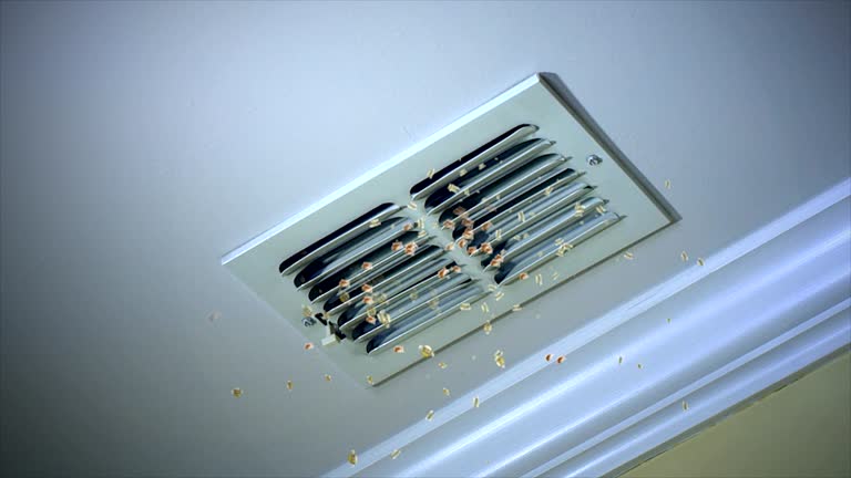 Best HVAC Maintenance and Cleaning  in Mequon, WI